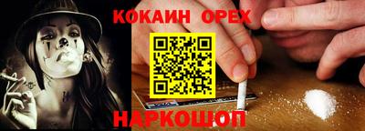 мдпв Кингисепп